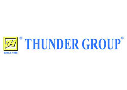 Thunder Group Logo 250 Grey