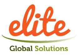 Elite Global Solutions Logo 250 Grey
